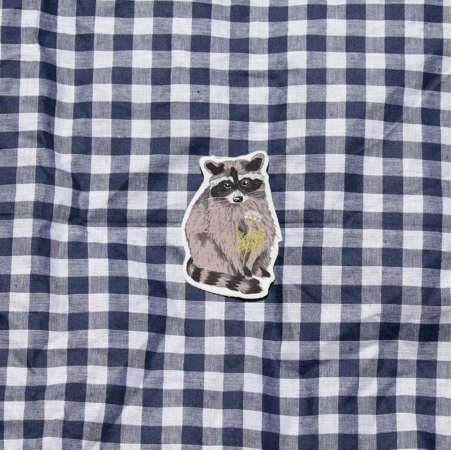 Raccoon Sticker