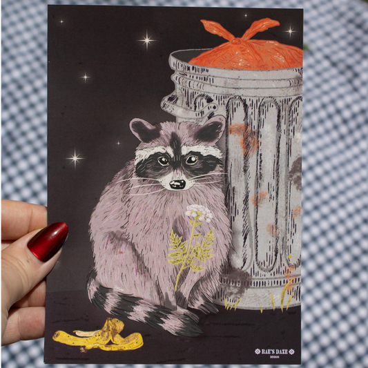 Raccoon Art Print