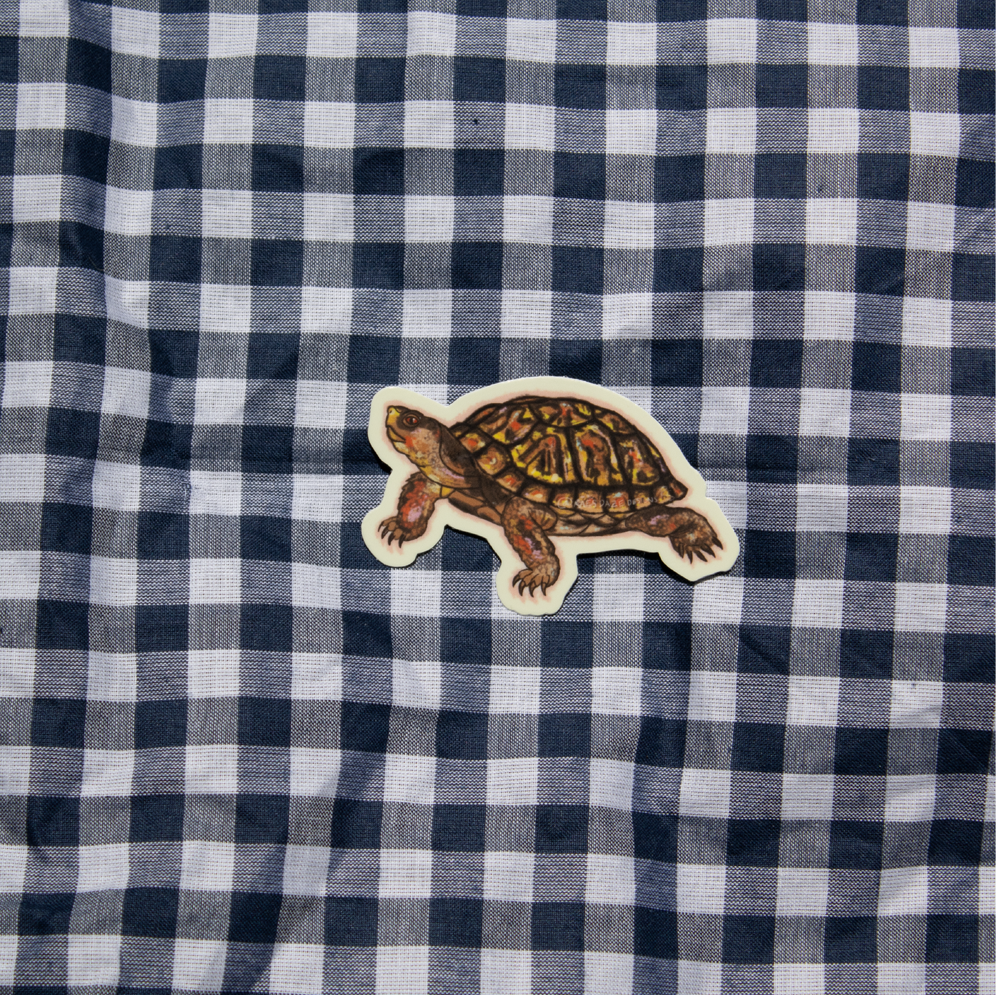 Box Turtle Sticker