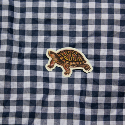 Box Turtle Sticker