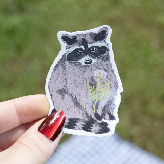 Raccoon Sticker